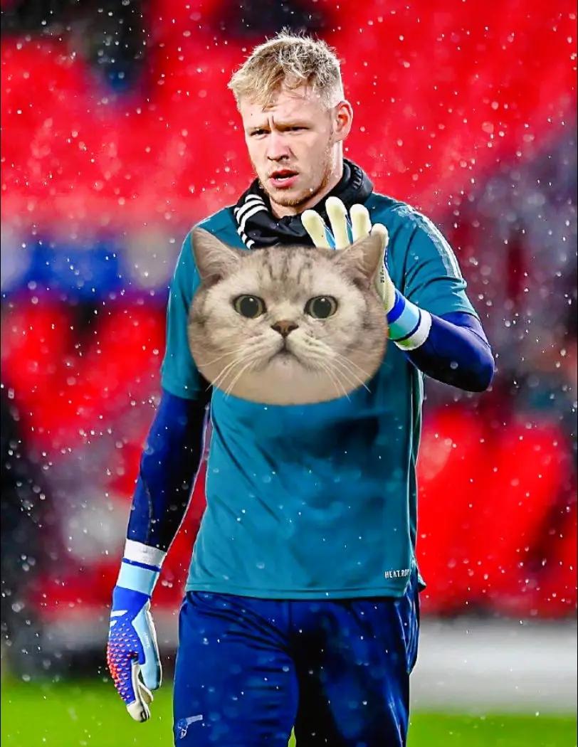 问鼎国际-包含冲刺阶段埃因霍温伤情更新：亚冠节点到来，引发热议，阵容厚度经受考验的词条