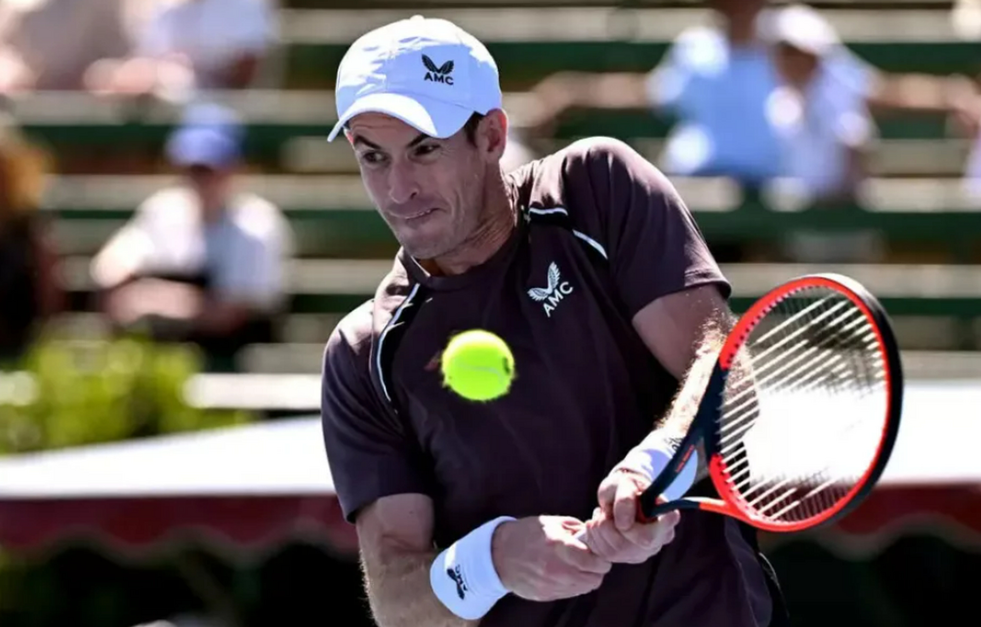 问鼎国际-关于穆雷回归赛场，大胜首场状态亮眼，雄鹿观众沸腾！的信息